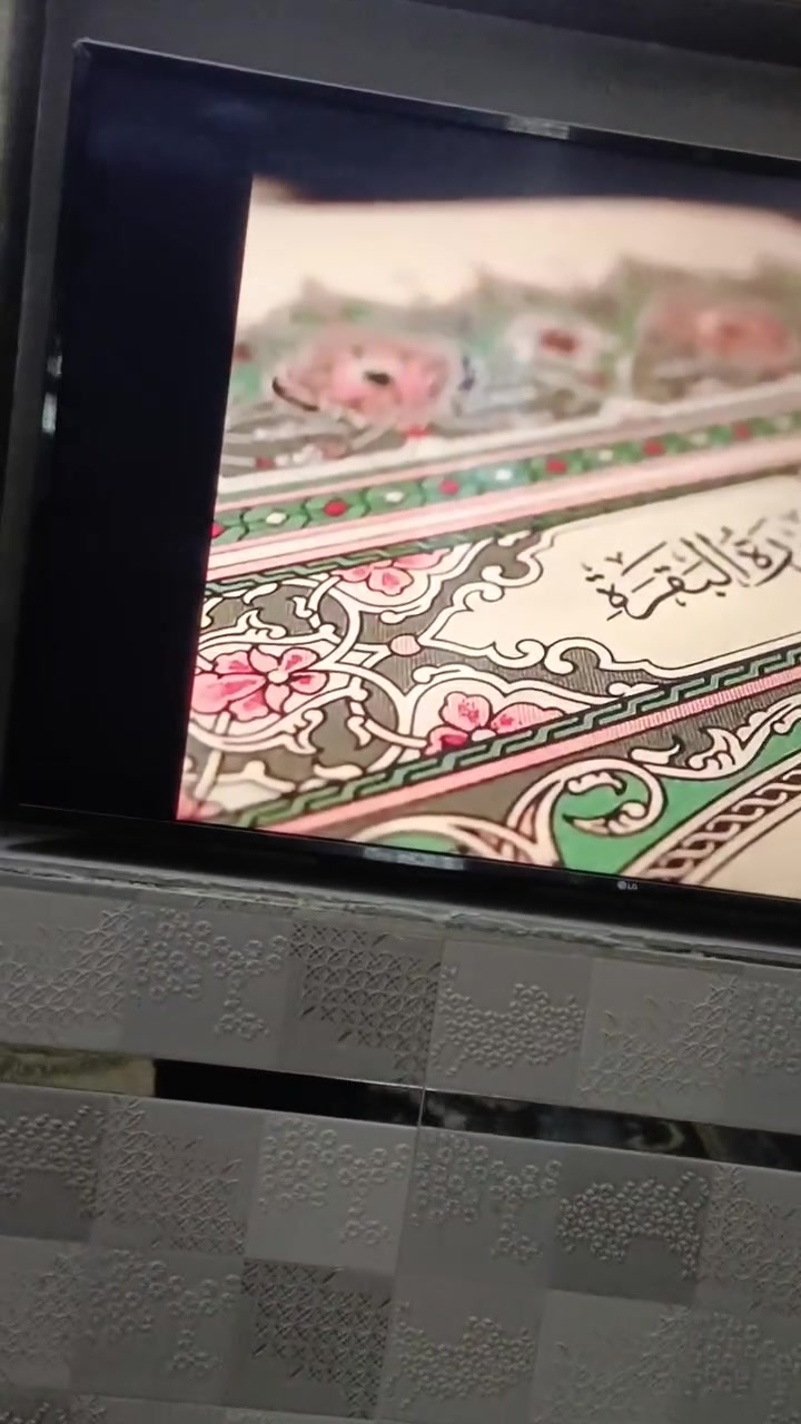 بلازمه البيع حجمهه 55 نوعيته أيلجي  سعرهه 350
***********
