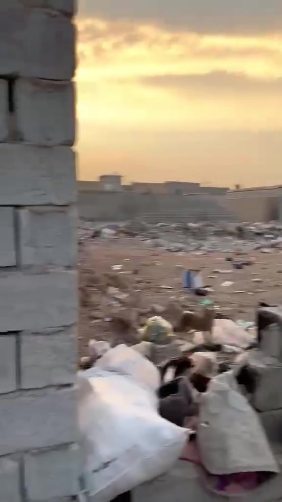 البحث العلمي • قريبة النصر والبتول • ١٦٠م