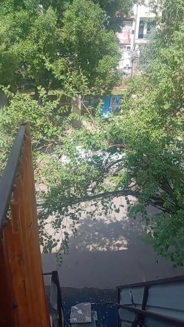 مشتمل • الشعب • ايجار
