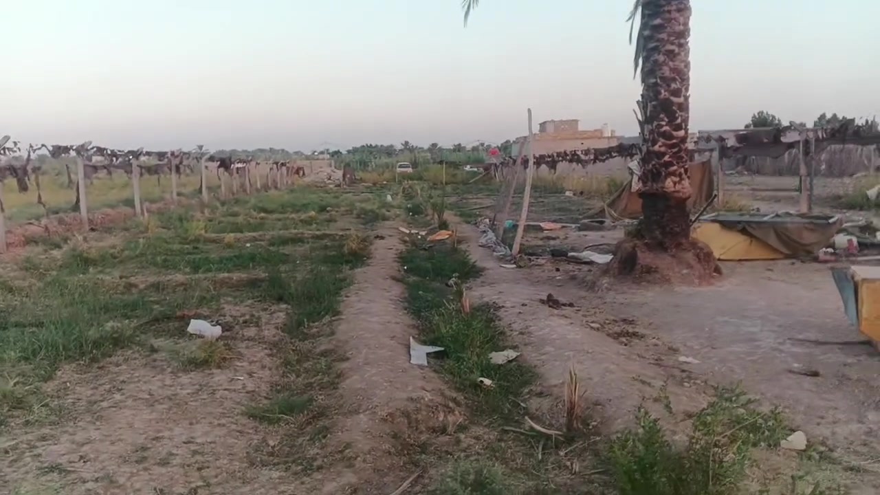 دونم وربع للبيع الرشيده كاع الشيوخ زراعي 35 تتكاب ويه الملاك  كافه الخدمات موجود ماء كهرباء
مسيجه بير ماء 
 160نزال  وعرض16
للستفار التصال برقم
 
***********
دونم وربع للبيع الرشيده كاع الشيوخ زراعي 35 تتكاب ويه الملاك  كافه الخدمات موجود ماء كهرباء مدارس
