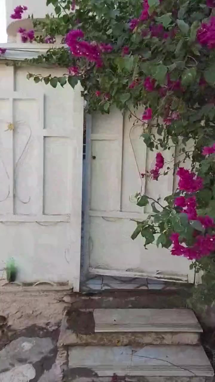 سلام عليكم بيت مساحه 100متر طابق ونص  يتكون من ستقبال وصاله ومطبخ وغرفه ولفوك غرفه صحيات داخليه وخارجيه مكاني كربلاء الحر الصغير البزل الاخير قريب عله المختار نايف الاتصال ويستفسار عله رقم ***********
