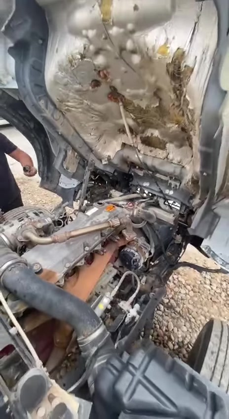 السلام عليكم
هينو قلاب أنكر محرك ٦سندر 2004
سيارة كامله خير من الله كبل الشغل مداور ثاني يوم
مكاني بابل الحلة جبله
***********
السعر ٢٧٠ وبيه مجال حك جيه وتدلل
