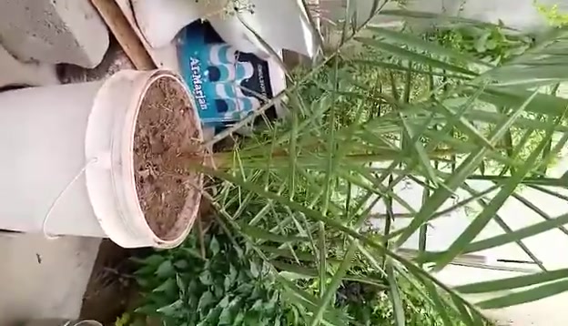 زينة • ديكور بيت • للبيع