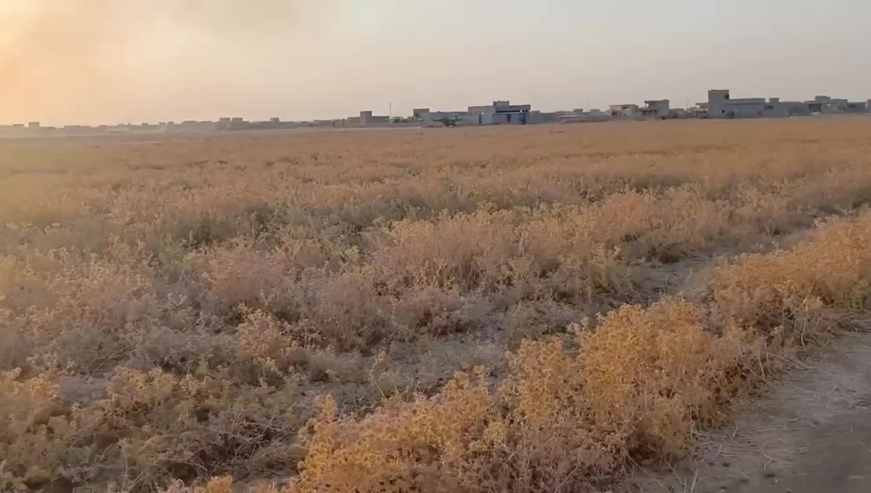 الشرقاط • الساحل الأيسر • ١ دونم
