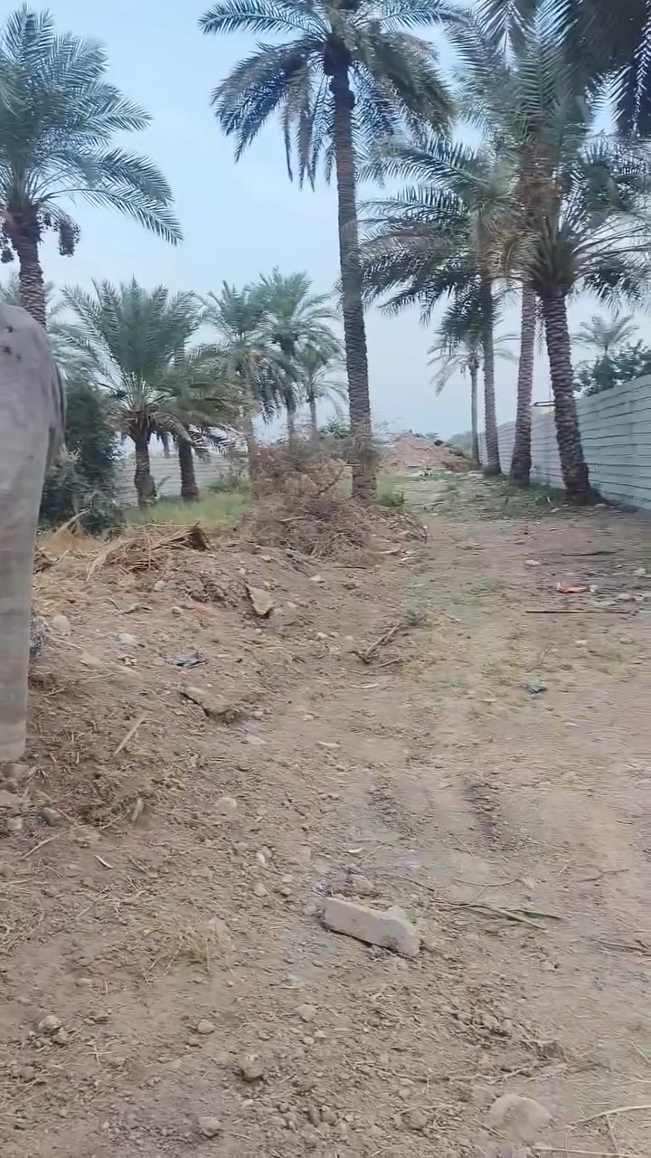 المدائن تويثه • ١٢٠٠م • طابو