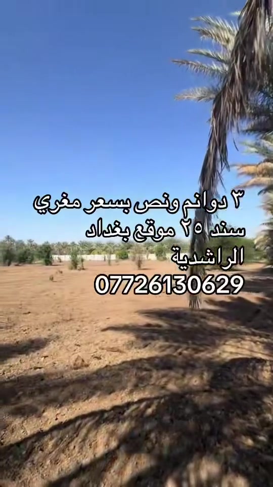 ٣ دوانم ونص سند ٢٥ موقع بغداد الراشدية قرية جميل الضاحي قرب العراگنه بيها نخيل قليل الاستفسار اكثر ***********
