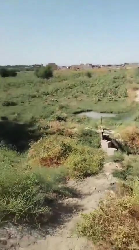 يم سيد ابو سدره • مستند • ٥ دونم
