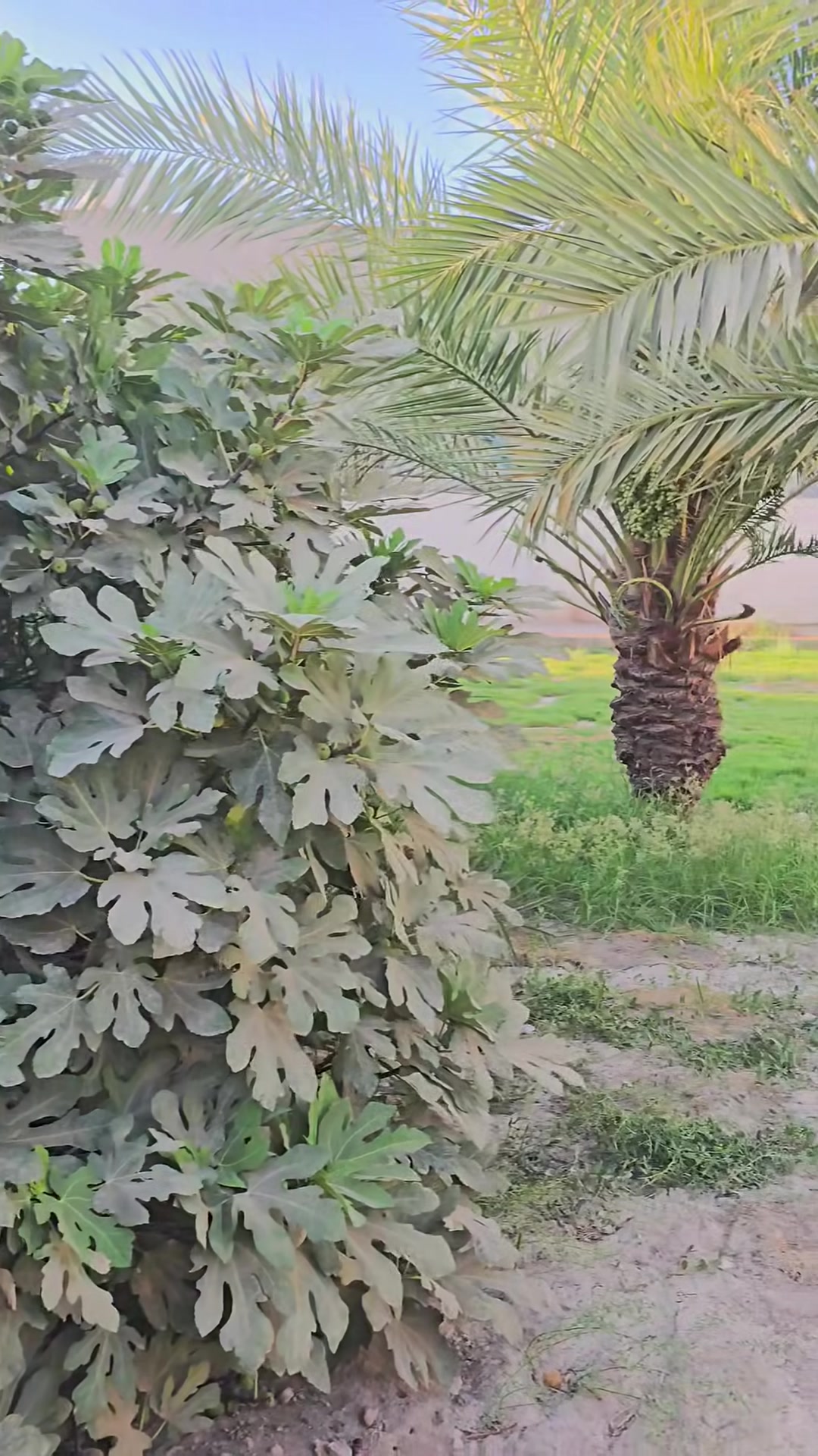 🏠 بيت للبيع – فرصة حلوة

بيت طابقين للبيع، جاهز للسكن، بموقع حلو وخدماته كاملة.

📍 الموقع: بغداد – النهروان، قرية 8، النزلة الأولى، يبعد أقل من 150 متر عن الشارع العام.

الطابق الأول:

- 3 غرف نوم
- صالة استقبال
- هول
- مطبخ
- حمامات

الطابق الثاني:

- 3 غرف نوم
- هول
- حمامات

البيت مرتب وجاهز للسكن، والمنطقة بيها كل الخدمات من أسواق ومدارس وماء وكهرباء.

للاستفسار والمعاينة راسلني أو اتصل.
         ***********
