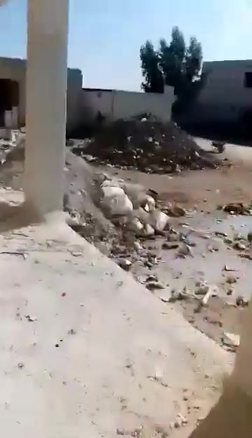 لبخ • جص • شغل درجة اولى