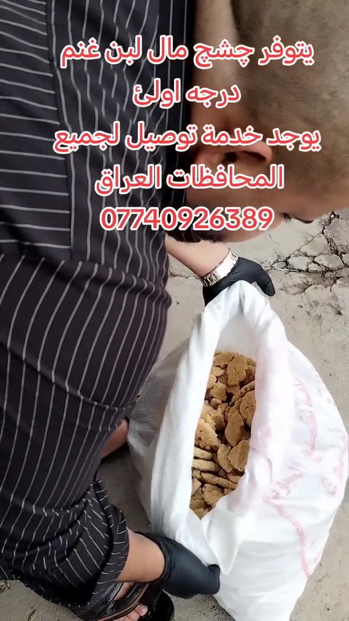 چشچ لبن غنم • درجة أولى • توصيل لجميع المحافظات