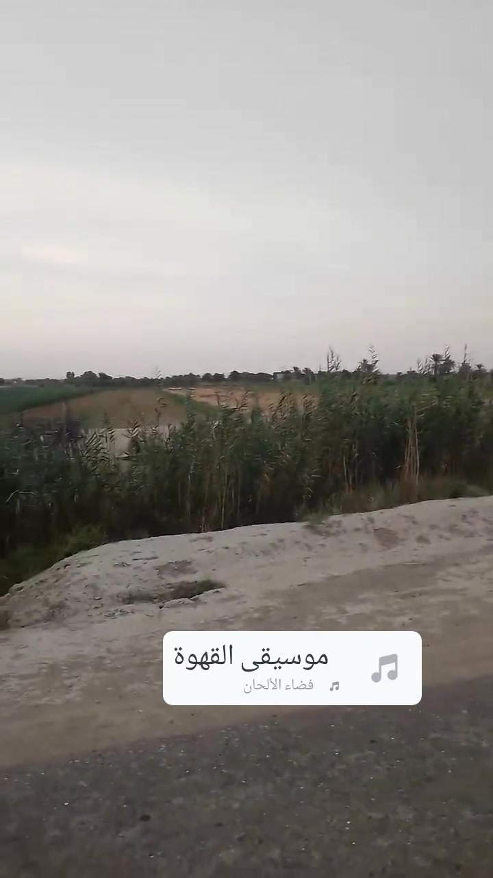 ٣ دونم • طابو مداور • قرب النفق
