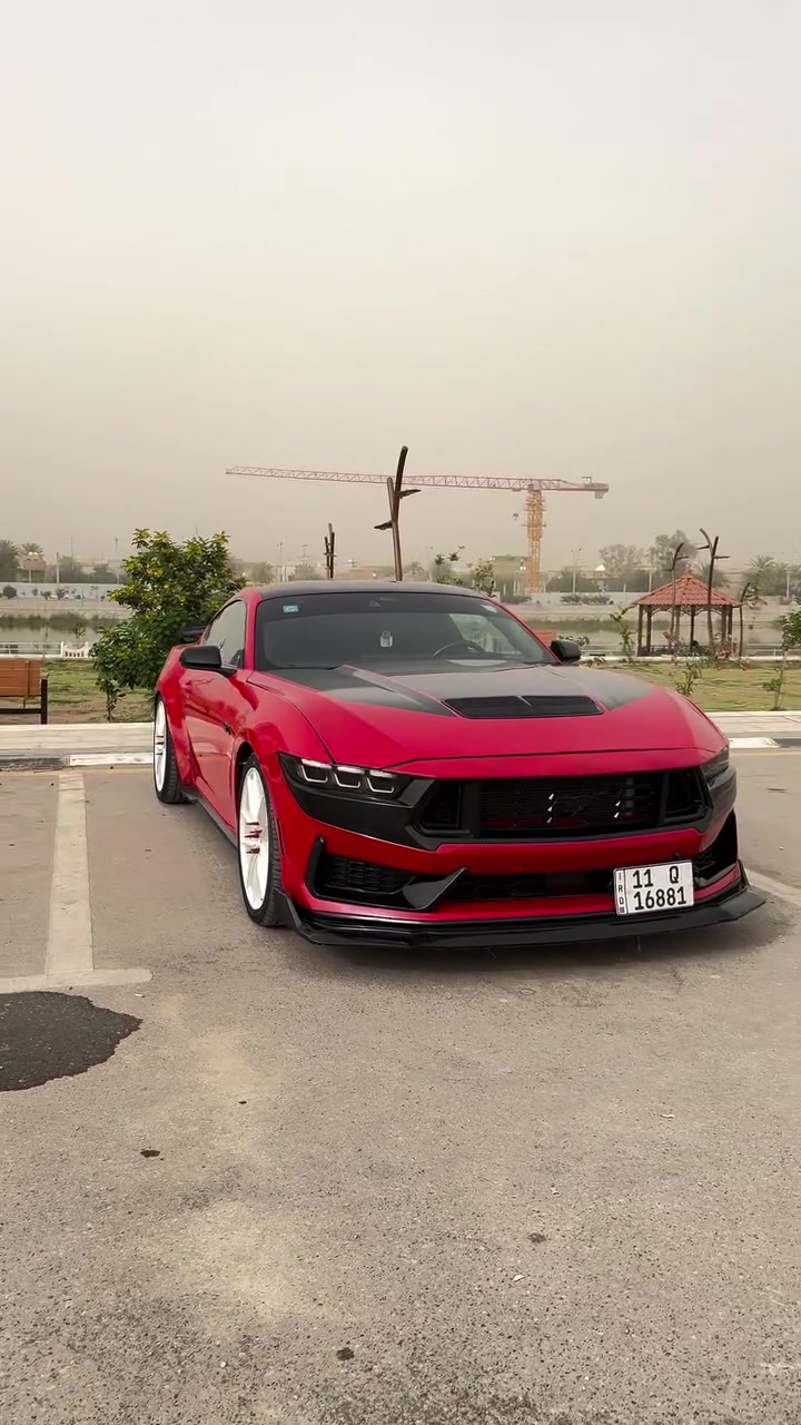 موستنك GT2024
السياره جديده بمعنى الكلمه 
 فقط بنيد جاملغ تكحيل كارت  جداً بسيط 
السياره تعبان عليها وصارف عليها مانقصها اي شي جاهزه 100‎%‎ 
عليها اضافات 
شوت وستيرن كاربون فايبر
وبك لايت ابيض اوربي ولحيه 
‏ ppf بنيد وقماره وجنطه
كاج كان
لدات دعاميه ابيض
اكس بايب كورسا
برمجه سيف تيتو
ستريس بار
ويل نيش صبغ درجه اولى ابيض 7 شذرات
سبايدر دارك هورس
لواصق اصلي ونانو سيراميك 
ماشيه 16000 كيلو 
اكتف اكزوز 
بريميوم
ديجيتل
رادار امامي وخلفي وجانبي
السياره معروفه وبلعافيه ع الياخذها ***********
مكان السيارة بالناصرية
السعر 275 وبيها مجال بسيط جداً
