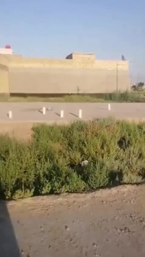 قطعة ركن للبيع منطقة الحشد بحي الحوراء على شارع 20 رئيسي و شارع 12 فرعي على حديقة خضراء مبني بيه رفث  مساحتها 200 متر وبيها معاملة كاملة مقبولة على صندوق الاسكان اني مكلف بالنشر للاستفسار الاتصال على رقم صاحب القطعة ***********
