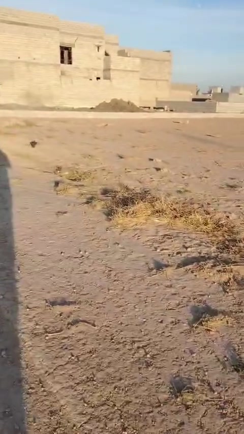 الفرسان أبو سطام • زراعي • ٣٠٠م