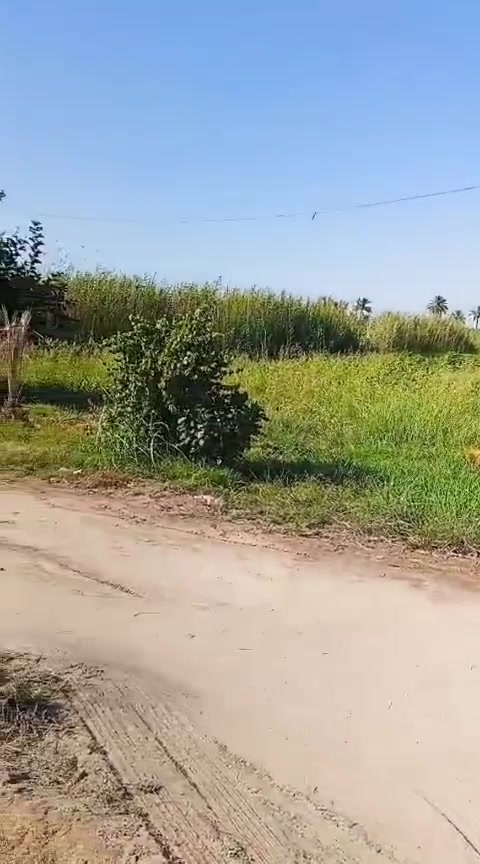 السلام عليكم دونم طابو زراعي سند 25 للبيع بي حقل دواجن ومشتمل للسكن وحضيرة اغنام للبيع الفلوجه الشهابي الاولى

للاتصال ***********
