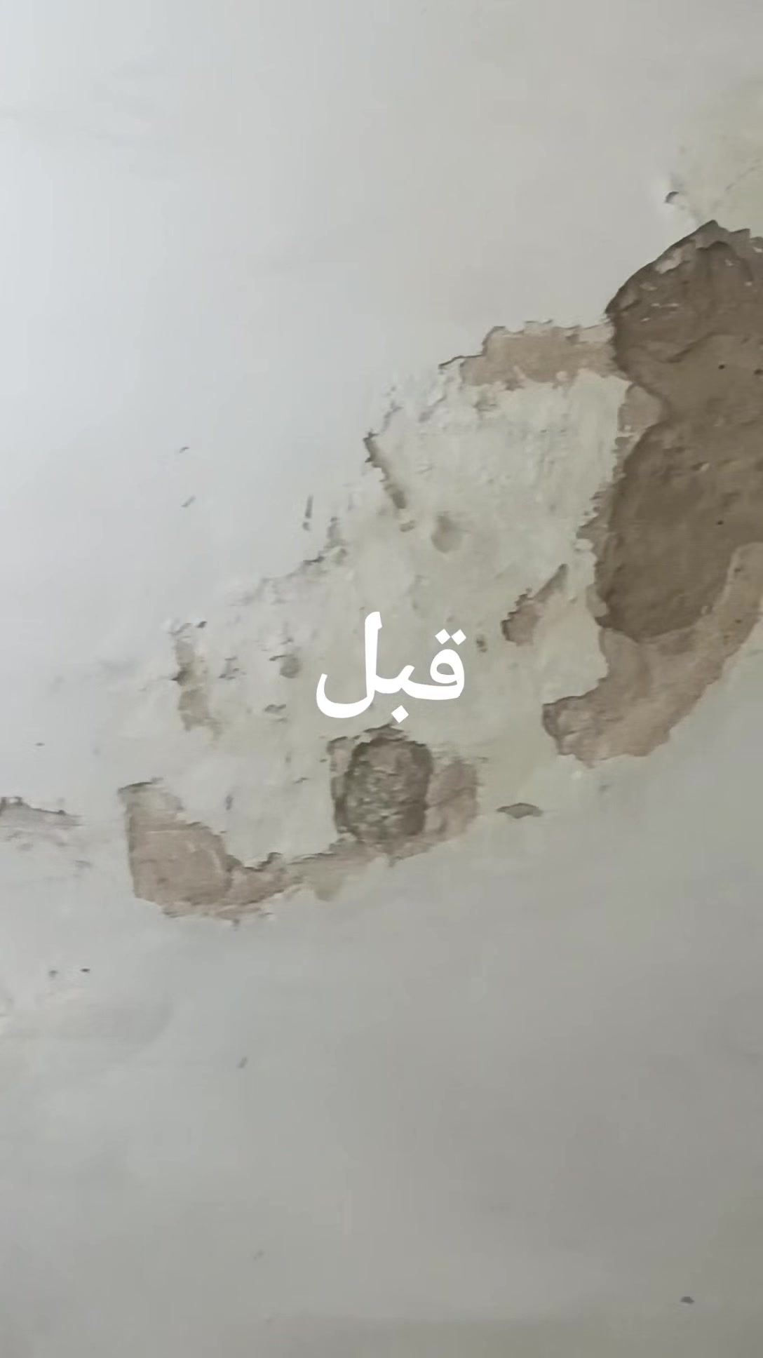 🔴السلام عليكم زبائنا الكرام ورق جدران بغداد  باحدث 🔴المديلات التصاميم  
🔴ورق جدران إيطالي سعر الروله ٣٠-٣٥-٤٠ألف
🔴طول الروله ١٦ متر وعرض متر و٦سم
🔴ضمان حقيقي خمس سنوات
🔴يعمل على كافه انواع الجدران
🔴قابل للغسل ومقاوم للرطوبه
🔴نسبه الجلد 50 % نسبه الالياف30% نسبه الورق 20%
🔴نقشه بارزه
🔴يوجد خدمه توصيل داخل المحافظه
🔴بغداد العنوان مدينه الصدر  قطاع 11
🔴للحجز والاستفسار الاتصال
*********** داره ابو شهم
