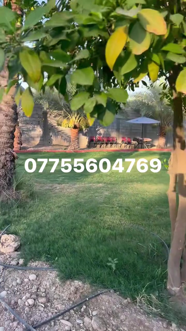 سلام عليكم  إلى زبائننا الكرام عرض بيع موقع جدآ مميز من ناحيه الهدوء والخدمات والقرب من شارع العام المساحات المتوفره نص دونم واجها ٢٣ ونص مسيج كامل وقطع مساحات من الـ ١٧٠م إلى ال٢٤٧م جنس الأرض طابو زراعي سند ٢٥ /خدمات كامله مجاري وتبليط العنوان بغداد المدائن الجعاره قرب المستوصف للاستفسار الاتصال *********** /*********** #جعاره #اراض #مزارع #المدائن #قطع
