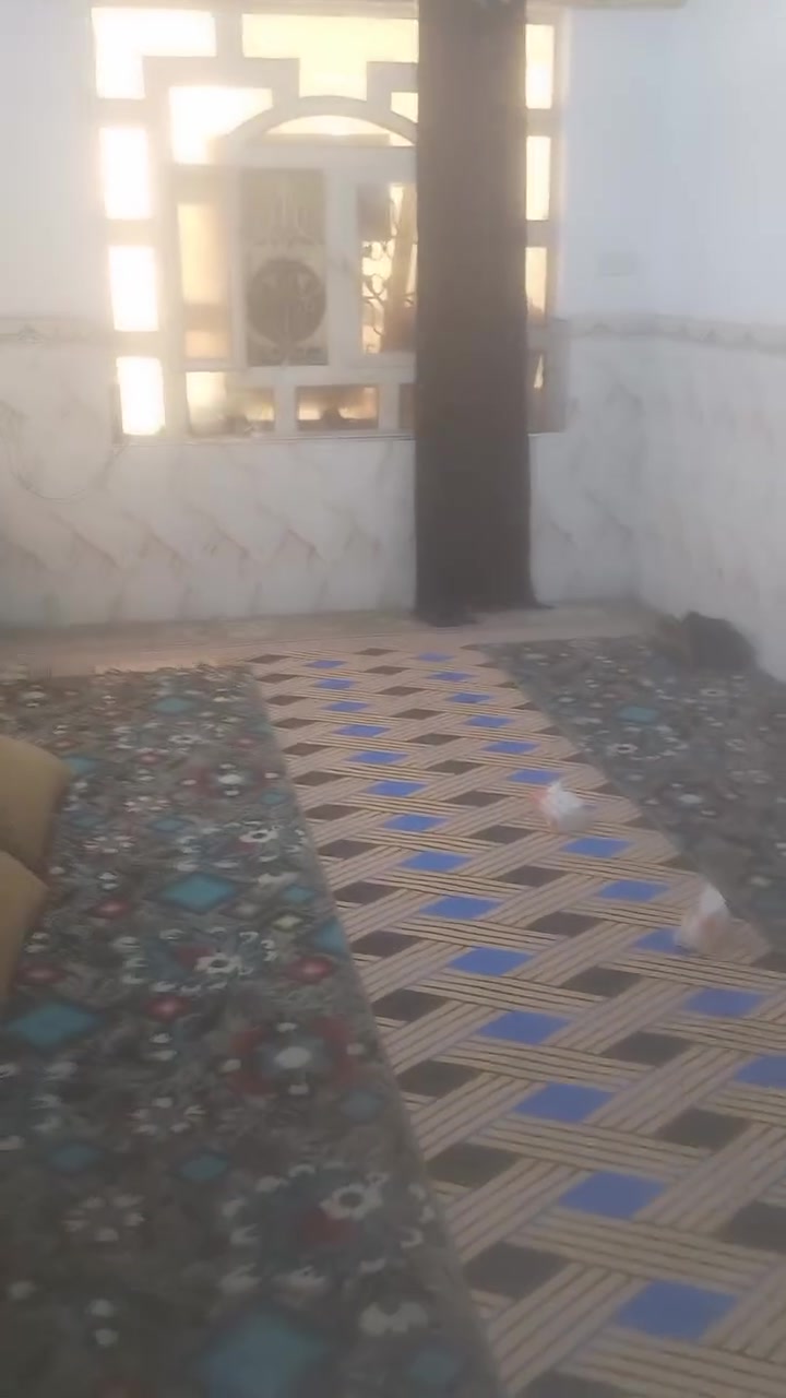سلام عليكم عندي بيت بل المكرمة 120 متر مطلوب لمصرف العقاري 80 مليون ينباع بتطلوعة مع تغير الكفيل بكفة مطعم سيد سعد شارع 10 *********** الاتصال
