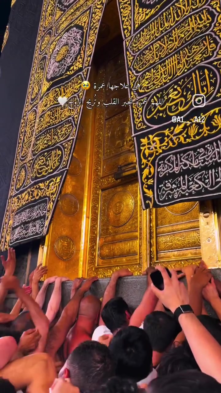 عمرة بداية شهر الثامن 
محبس الجن 350$
محبس الجن 375$
شارع الحرم 450$
زيارات دينية 
وجبات طعام مجانية (أن توفرت )
***********
