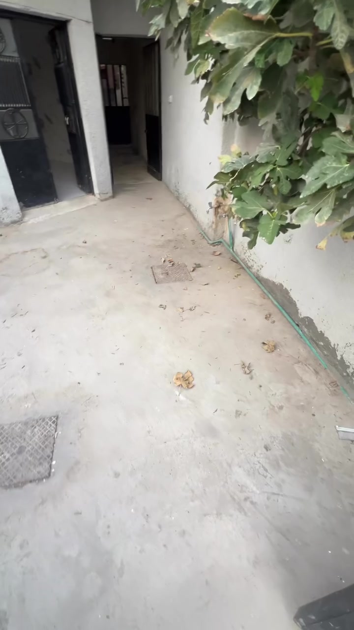 سبع البور • طرمة كبيرة • ١ غرفة