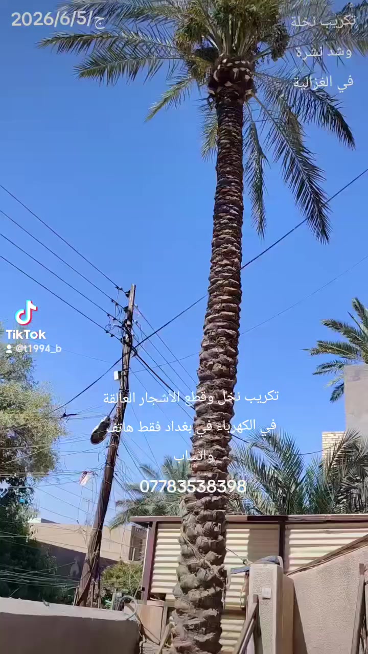 السلام عليكم يوجد لدينا كادر متخصص فى تكريب النخيل وقطع الأشجار الضارة العالقة في الكهرباء هاتف واتساب
***********
