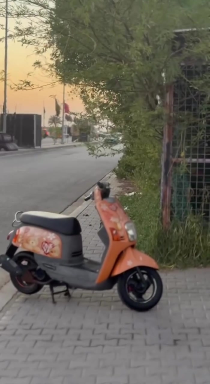 البيع بلاديه الرقم ***********
