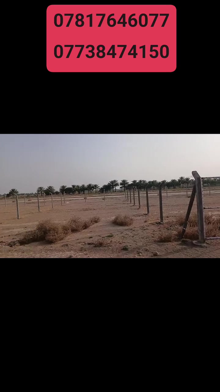 شريفه بنت الحسن • ٢٥٠م • طابو زراعي