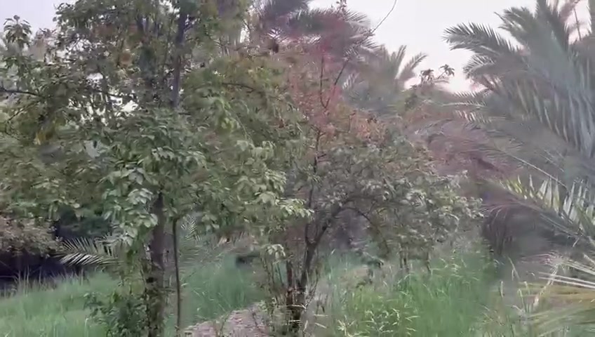 السلام عليكم دونم للبيع العنوان بغداد الراشدية قرب البحيره تحويل بااسم المشتري السعر 225 وبي مجال الاستفسار أكثر اتصال على هذا الرقم ***********
