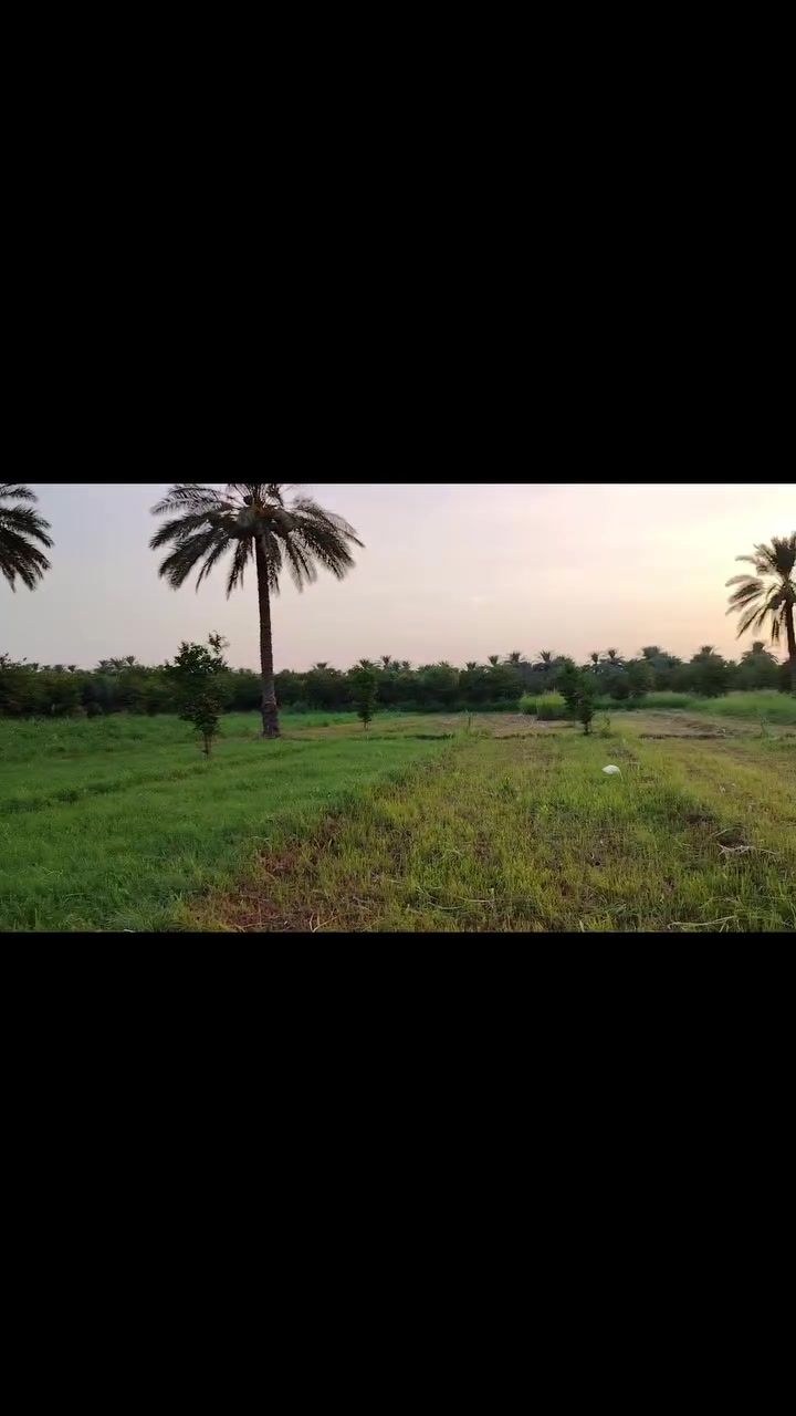 السلام عليكم #دونم للبيع المكان بغداد الراشدية منطقة الساده البحيات 

نوع العقار طابو ملك زراعي سند 25 تحويل ابسم المشتري

الواجهة 40 متر ونزال 60 متر 

#الاتصال ***********
