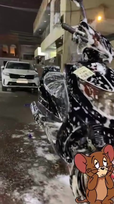 سكنس فحل • ياباني • كابريتر