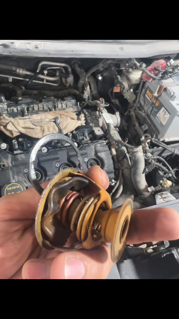 من ورشة الاخوين تصليح وفحص السيارات بالكومبيوتر
تبديل وتر بم  فورت اكس بلاور 
عنوان كركوك حي صناعي جنوبي خلف محطة بنزين الشهيد 
سايدين رئيسي مقابيل شريكة حدادة الحدباء 

*********** & ***********
