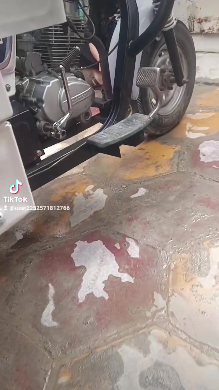 ستوته دايون • تعمير جديد • ٢٠١٨