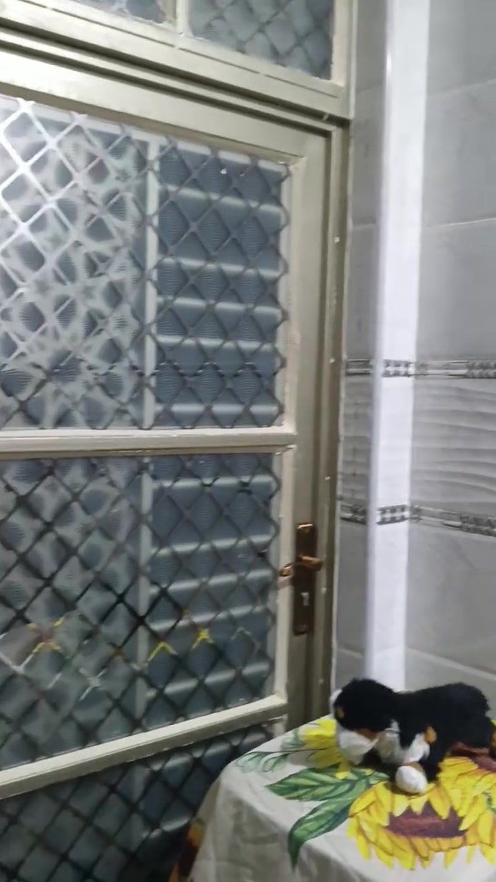 بيت 100متر واجهه 5نزال 20 في حي النصر الساده البو خطه وره مولده ثانيه  بناء حديث  وستلام مباشر نقصه بس كاشي. بيت تصميم تركي. درجه اولى. جاهز من كلشي جيب غراضك وتكعد سعر 55مليون. مو دلال اني ابو البيت  طابو زراعي سند 25 تكعد انته ولملاج فوري تحويل  مباشر بسمك***********
