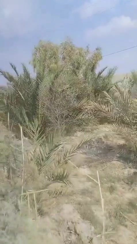 حي الجوادين • ١٠٠٠م • جاهزة للبناء