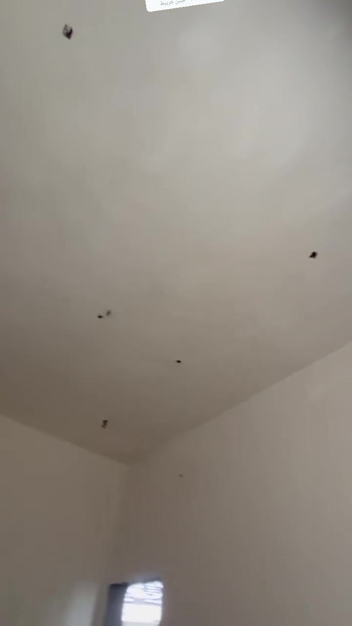 تشطيب • لبخ وبياض • سيراميك