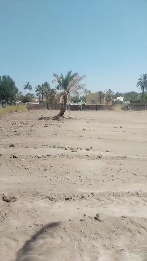 قطعه طابو زراعي سند ٢٥تحويل مباشر مساحه ٣٩٠٠ شارع الورديه داخل المؤدي للبو حمير علي طريق الخدمي الجدول كافت الخدمات تبليط ماء كهرباء  واجه ٤٥ نزال ١٠٠ الضهر ٣٥ السعر ٢٥٠
للاستفسار اكثر الاتصال على الارقام التاليه
***********
***********
