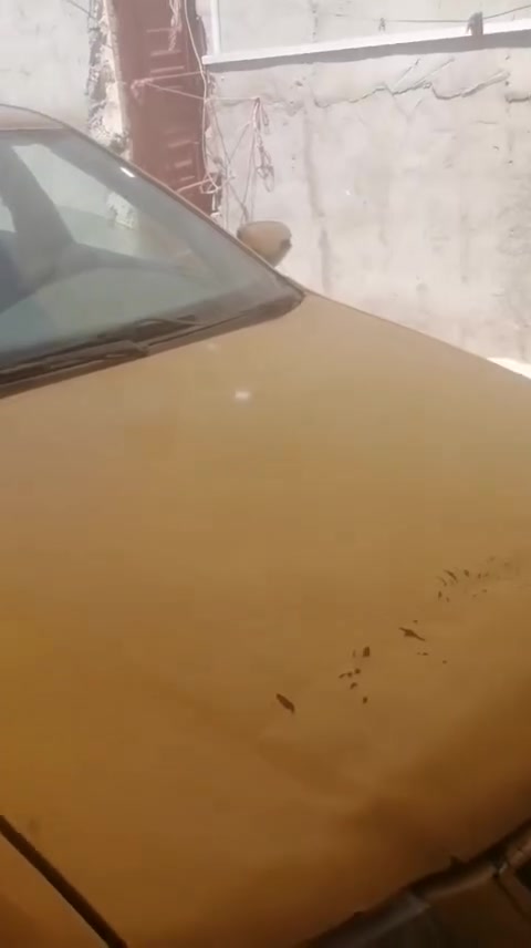 سلام عليكم سمند للبيع مكانه البصره الزبير تفاصيل وتساب ***********
