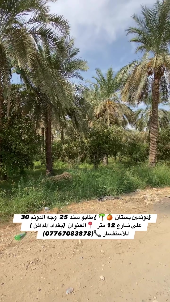 السلام عليكم {دونمين بستان للبيع } طابو سند 25  وجه الدونم 30 على شارع 12 متر  متر تنباع حسب الطلب كامل خدمات  يحتوي البستان على حمضايات ونخل الوان 📍العنوان  {بغداد المدائن }  
للأستفسار 📞{***********}

 #بستان #نخيل #عقارات #مزارع #مقاولات
