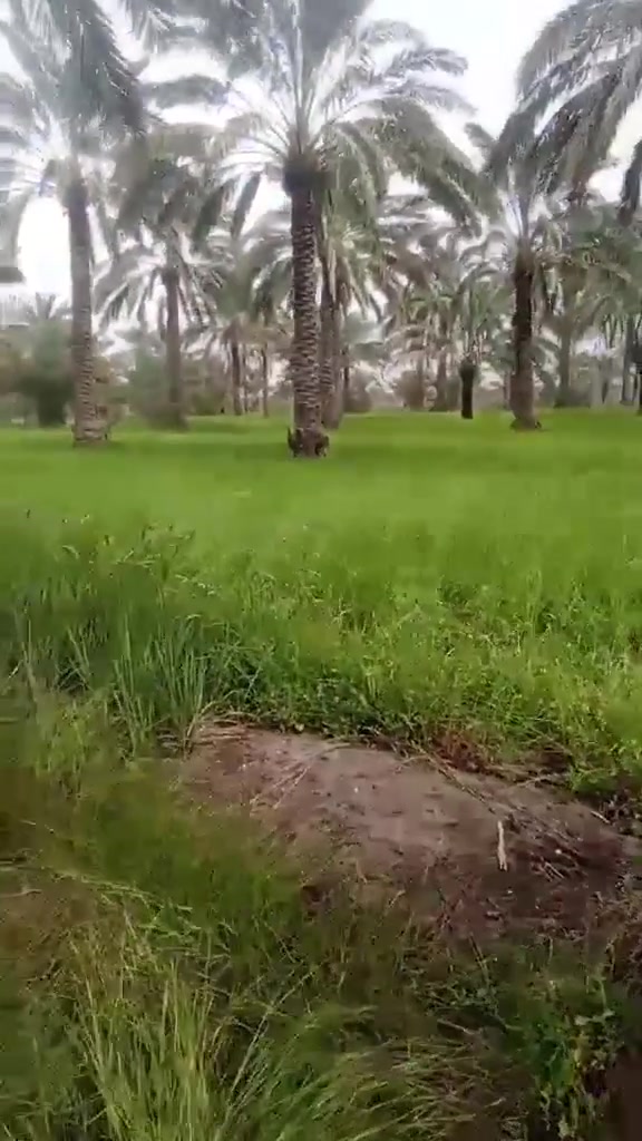 السلام عليكم يوجد دونمين للبيع سند 25 طابو زراعي تبعد عن سبعلبور 200 متر بيهه بستان 
متوفر ماء وكهرباء وشارع تبليط متوفر بها جميع الخدمات مع العلم الدونم الواحد على 85 مليون 
للتواصل ***********
