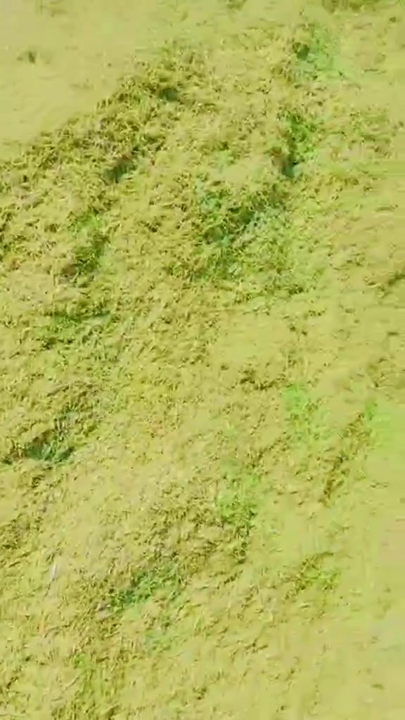 السلام عليكم يوجد لدينا تبن جت درجه اولى بااسعار مناسبه بابل الحمزه الغربي لاتصال على الرقم *********** ويوجد خدمة توصيل

