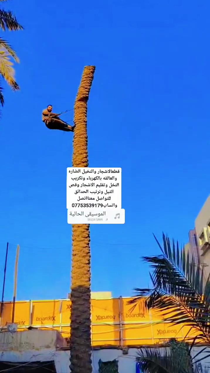 @الجميع @إشارة @
