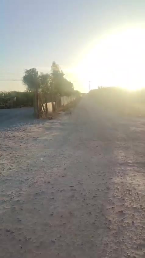 مقابيل جامعة تكريت • ٢٥٠م • ٢٢٠م