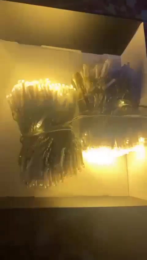نشرة ضوئية • عيد ميلاد • ديكور