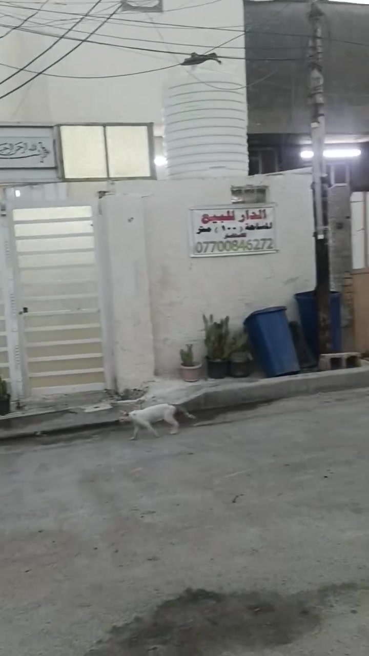 بيت للبيع مساحه 100متر طابو زراعي سند 25 سبع قصور شارع ابو احمد فرع 10 الواجه 5 النزال 20 طابق ونص الطابق الثاني غرفه سويت وصاله كامل ابياض وكهربائيات الطابق الثاني نقص فقط ارضيه  الاتصال ***********

