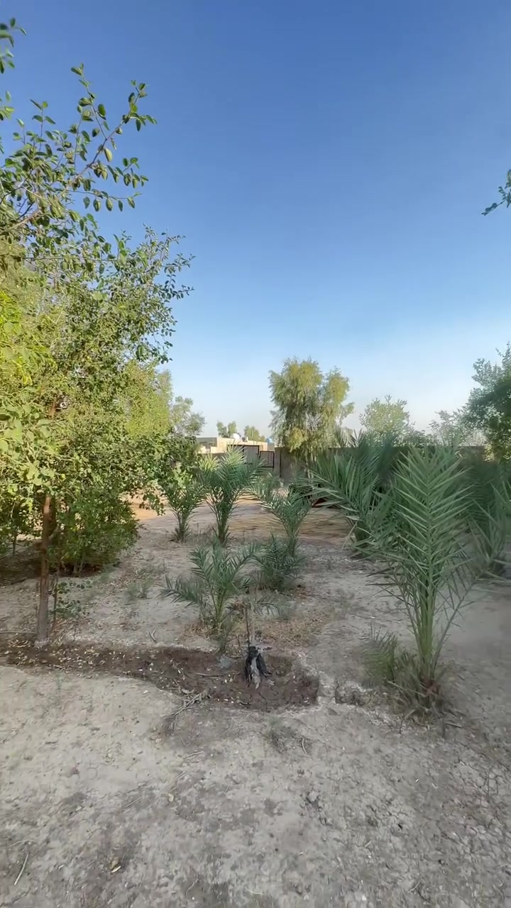 يالله السلام عليكم ئخوان دونم مربع ركن للبيع تريد نص دونم هم نبيعلك يحتوي ع بيت 300 متر صب مسلح وطابوك ودنك صب  الاستفسار اكثر *********** موقعه ثعالبه قرب مجبل قريب ع مستوصف مال مشروع
