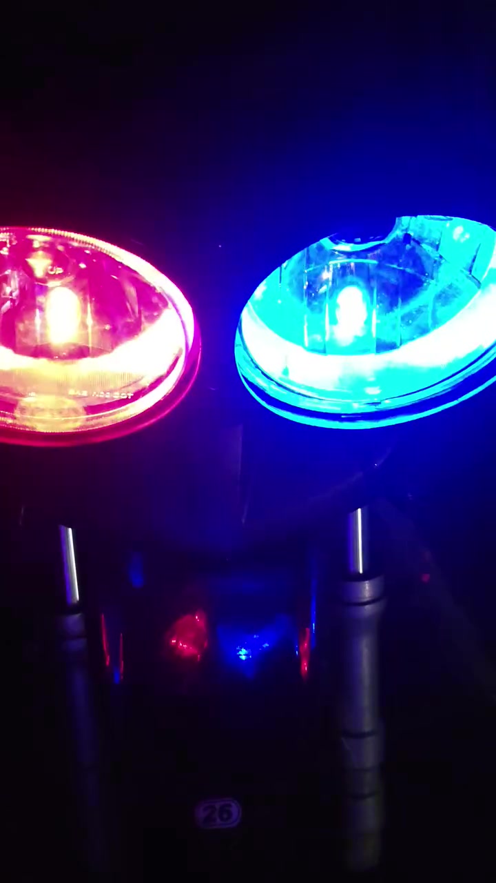 سكنس • ماكس • اصليه