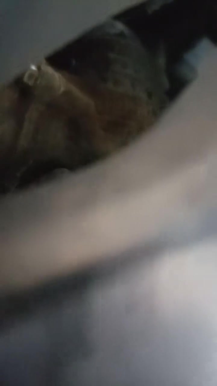 سلام عليكم

سكنس فحل طلاعيات نوزل 

مكينه بلاد ما مفتوحه

مكان بغداد زعفرانيه

الدراجه خير من الله 

نكره سلف 

تايرات جدد 

كهربائيات كامله اشاير لايتات عالي ناصي 

شلعه معدل فول امانه الله 

دشبول شغال كامل 

السعر 650وبيهه مجال لشراي 

الاتصال ***********
