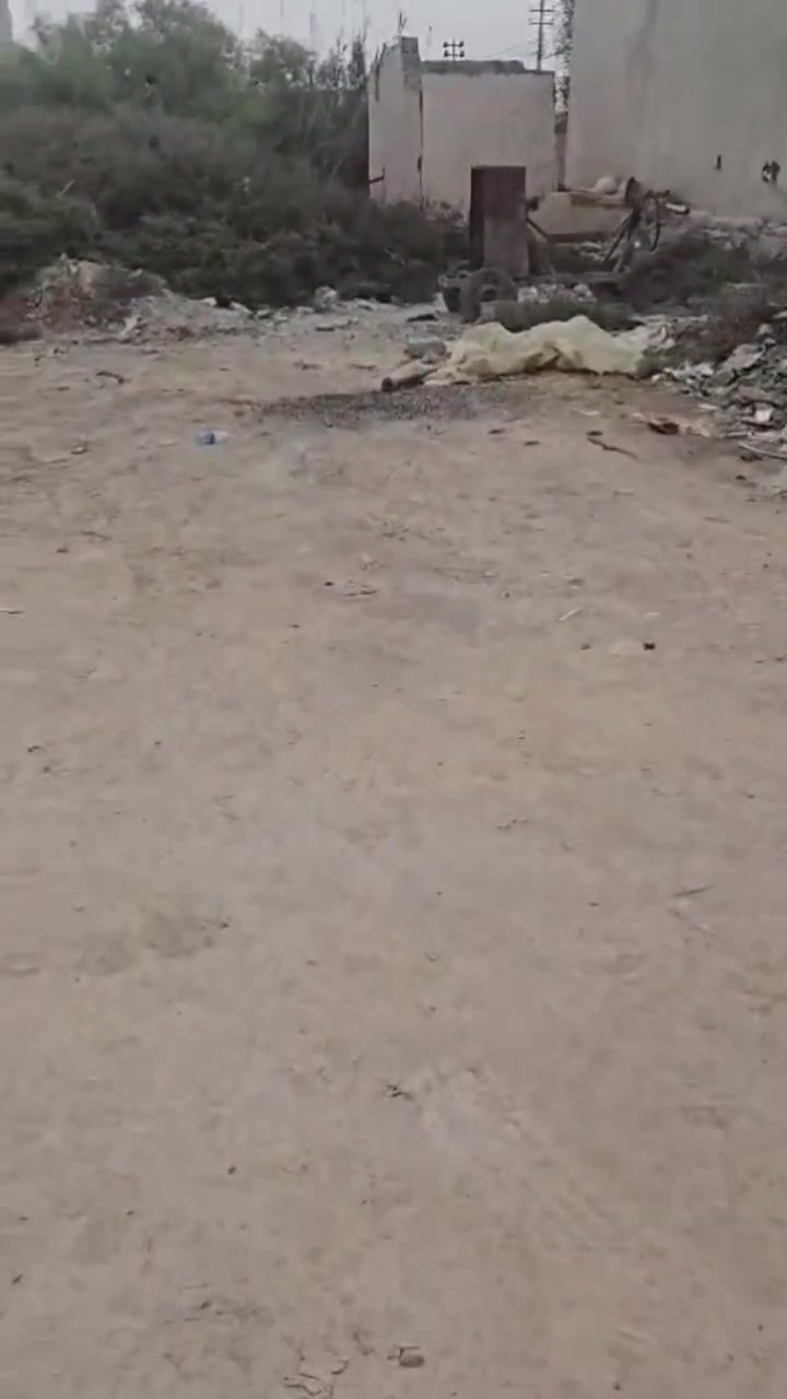 زراعي سند ٢٥ • ٣٦٠م • البصرة ابو الخصيب