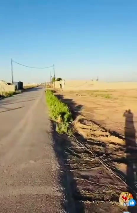 مدائن • ١٢٥٠م • سند ٢٥