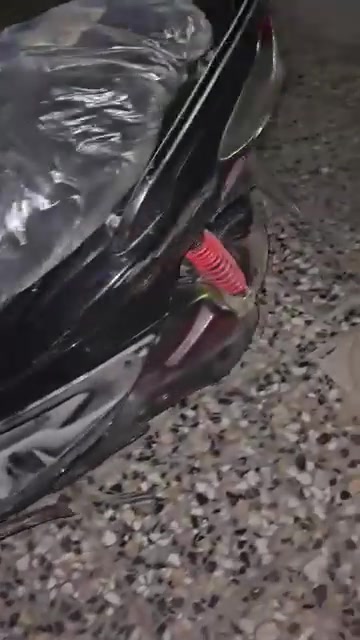سكنس فحل • ياباني • مرخص